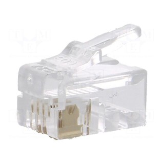 Plug | RJ10 | PIN: 4 | unshielded | gold-plated | Layout: 4p4c | 26AWG
