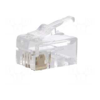 Plug | RJ10 | PIN: 4 | unshielded | gold-plated | Layout: 4p4c | 26AWG | IDC