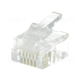 Plug | RJ12 | PIN: 6 | unshielded | gold-plated | Layout: 6p6c | 26AWG