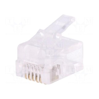 Plug | RJ12 | PIN: 6 | unshielded | gold-plated | Layout: 6p6c | crimped