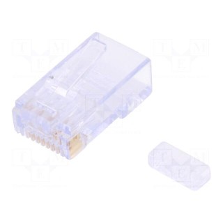 Plug | RJ45 | 44915 | PIN: 8 | Cat: 6 | with conductor guide | gold-plated