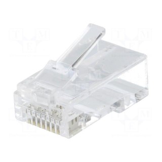 Plug | RJ45 | Cat: 6a | unshielded | gold-plated | Layout: 8p8c | straight