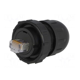 Plug | RJ45 | DC | PIN: 8 | Cat: 6 | shielded | Layout: 8p8c | IP67,IP68 | IDC
