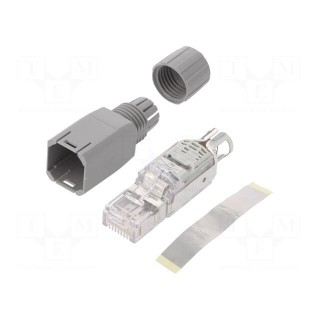Plug | RJ45 | PIN: 4 | Cat: 5 | gold-plated | Layout: 8p8c | 22AWG | IDC