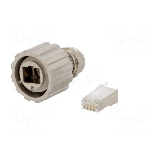 Plug | RJ45 | PIN: 8 | Cat: 5e | shielded | Layout: 8p8c | Locking: bayonet