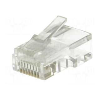 Plug | RJ45 | PIN: 8 | Cat: 5e | unshielded | Layout: 8p8c | for cable | male