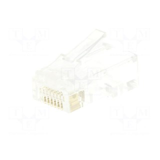 Plug | RJ45 | PIN: 8 | Cat: 6 | unshielded,pass through | gold-plated