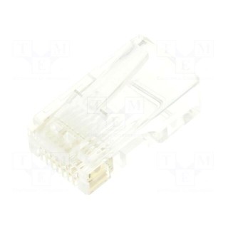 Plug | RJ45 | PIN: 8 | Cat: 5e | unshielded,pass through | gold-plated