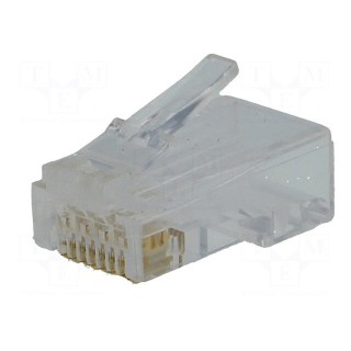 Plug | RJ45 | PIN: 8 | Cat: 6 | Layout: 8p8c | for cable | IDC,crimped