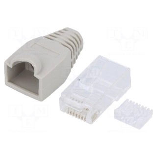 Plug | RJ45 | PIN: 8 | Cat: 6 | with protection,unshielded | Layout: 8p8c