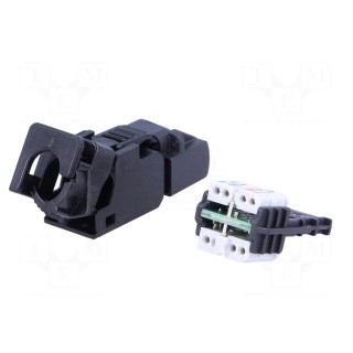Plug | RJ45 | PIN: 8 | Cat: 6a | with protective cap,unshielded