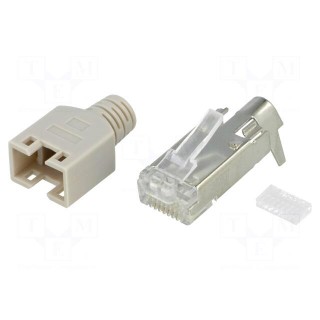 Plug | RJ45 | PIN: 8 | shielded,with strain relief | gold flash | grey