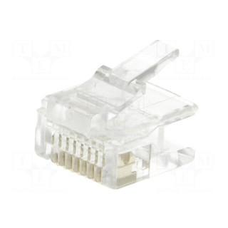 Plug | RJ45 | PIN: 8 | short | Layout: 8p8c | IDC,crimped | for cable