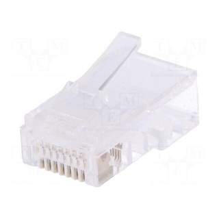 Plug | RJ45 | PIN: 8 | unshielded | gold-plated | Layout: 8p4c | crimped