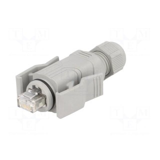 Plug | RJ45 | Variosub | PIN: 8 | Cat: 5e | shielded | Layout: 8p8c | IP67