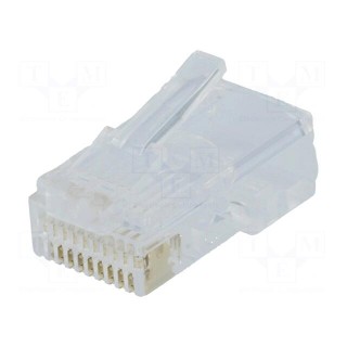Plug | RJ50 | PIN: 10 | Layout: 10p10c | IDC,crimped | for cable