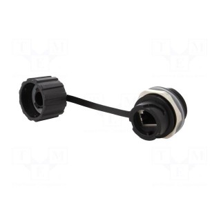 Socket | coupler | PIN: 8 | Cat: 5e | shielded,with protective cap