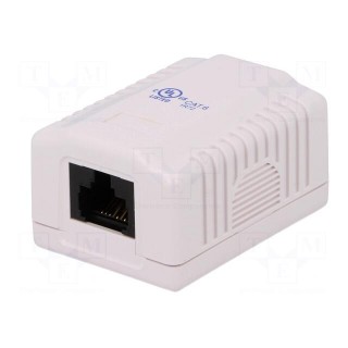 Socket | RJ45 | PIN: 8 | Cat: 6 | unshielded,single | Layout: 8p8c | female