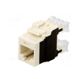 Socket | RJ45 | PIN: 8 | Cat: 6a | Layout: 8p8c | 22AWG÷26AWG | white | IDC