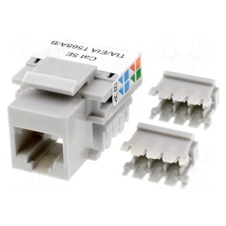 Socket | RJ45 | PIN: 8 | Layout: 8p8c | Keystone,for panel mounting