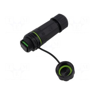 Connector: fiber optic | plug | SC | for cable | ways: 2 | straight