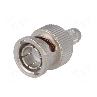 Plug | BNC | male | straight | 75Ω | crimped | for cable | polyetylene