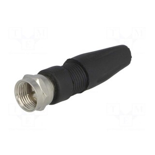 Plug | F | male | straight | 7mm | screw terminal | for cable