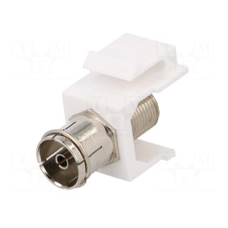 Adapter | socket | F socket,coaxial 9.5mm socket | female x2 | white