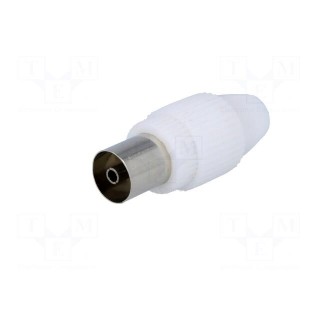 Plug | coaxial 9.5mm (IEC 169-2) | female | straight | for cable