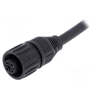 Connector: circular | plug | PIN: 4 | female | cables | IP65,IP67 | 18A