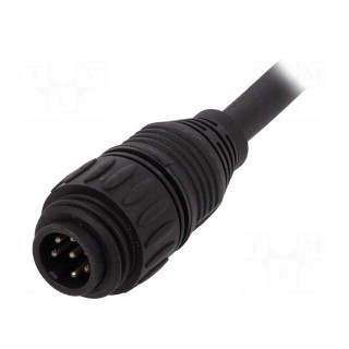 Connector: circular | plug | PIN: 7 | male | cables | IP65,IP67 | 10A | 1.5m
