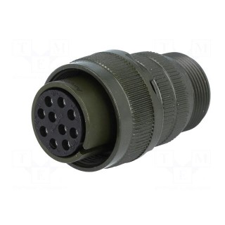 Connector: circular | Series: DS/MS | plug | female | PIN: 10 | for cable