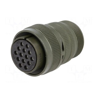 Connector: circular | Series: DS/MS | plug | female | PIN: 14 | for cable