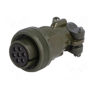 Connector: circular | Series: DS/MS | plug | female | PIN: 7 | for cable