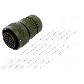 Connector: circular | VG95234 | plug | female | PIN: 19 | with contacts