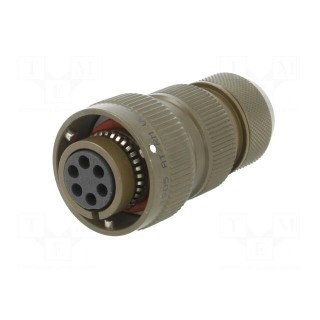 Connector: circular | VG95234 | plug | female | PIN: 6 | with contacts