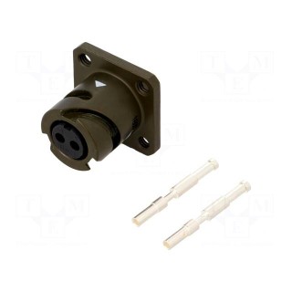 Connector: circular | VG95234 | socket | female | PIN: 2 | with contacts