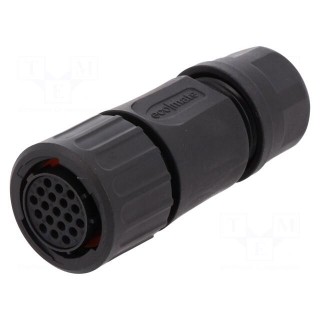 Connector: circular | plug | for cable | PIN: 19 | female | w/o contacts