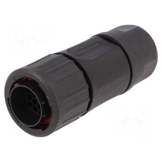 Connector: circular | plug | for cable | PIN: 19 | male | w/o contacts