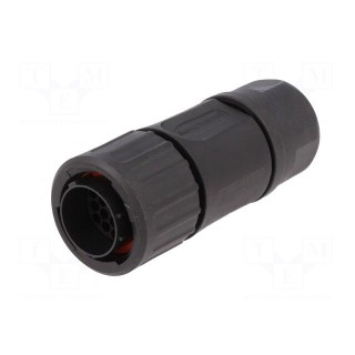 Connector: circular | plug | for cable | PIN: 19 | male | w/o contacts