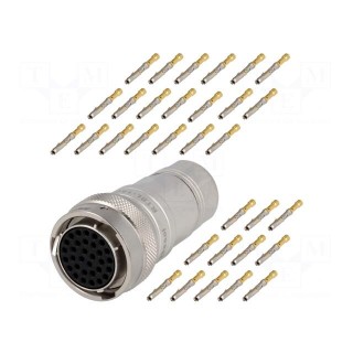 Connector: circular | plug | for cable | PIN: 32 | female | crimped | IP67