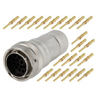 Connector: circular | plug | for cable | PIN: 19 | male | crimped | RT360