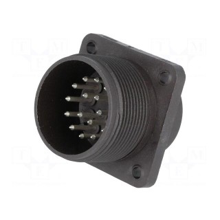Connector: circular | socket | CM | IP67 | PIN: 17 | male | 4A | 50V | 1.5mm2