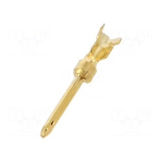 Contact | male | 20 | brass | gold-plated | 0.2÷0.6mm2 | 24AWG÷20AWG