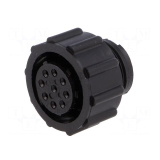 Plug | female | PIN: 9 | w/o contacts | CPC Series 2 | for cable