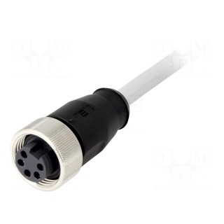 Plug | 7/8" | 1.5m | female | PIN: 5 | straight | with lead | PVC