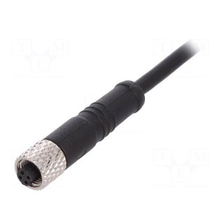 Connector: M5 | plug | female | cables | PIN: 4 | 1A | straight | IP67 | 60V