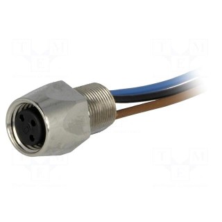 Connector: M8 | 0.5m | female | PIN: 3 | with leads | socket | E | 4A | IP67