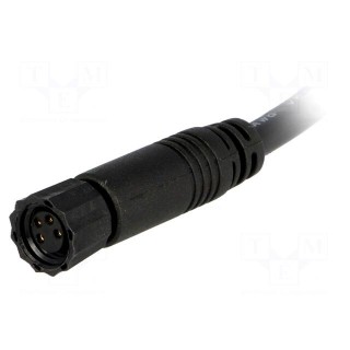 Connector: M8 | 1m | female | PIN: 4 | straight | plug | 3A | IP67 | 30V