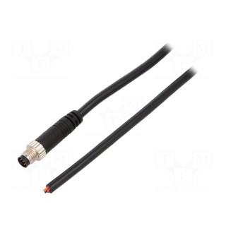 Connector: M8 | 1m | male | PIN: 6 | straight | plug | IP67